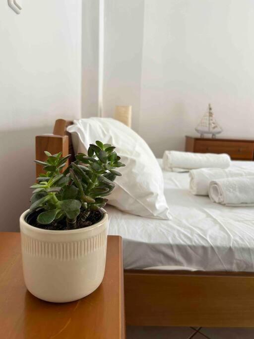 شقة Cozy Studio In Skala, Agistri المظهر الخارجي الصورة