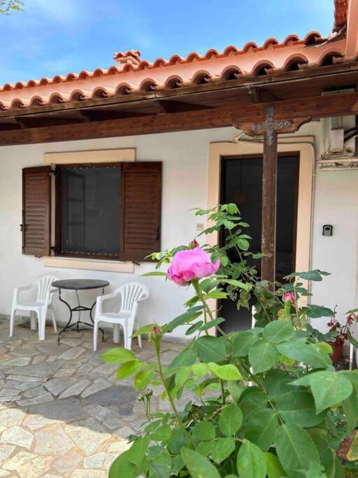 شقة Cozy Studio In Skala, Agistri المظهر الخارجي الصورة